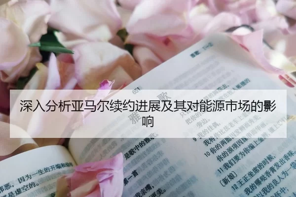 深入分析亚马尔续约进展及其对能源市场的影响